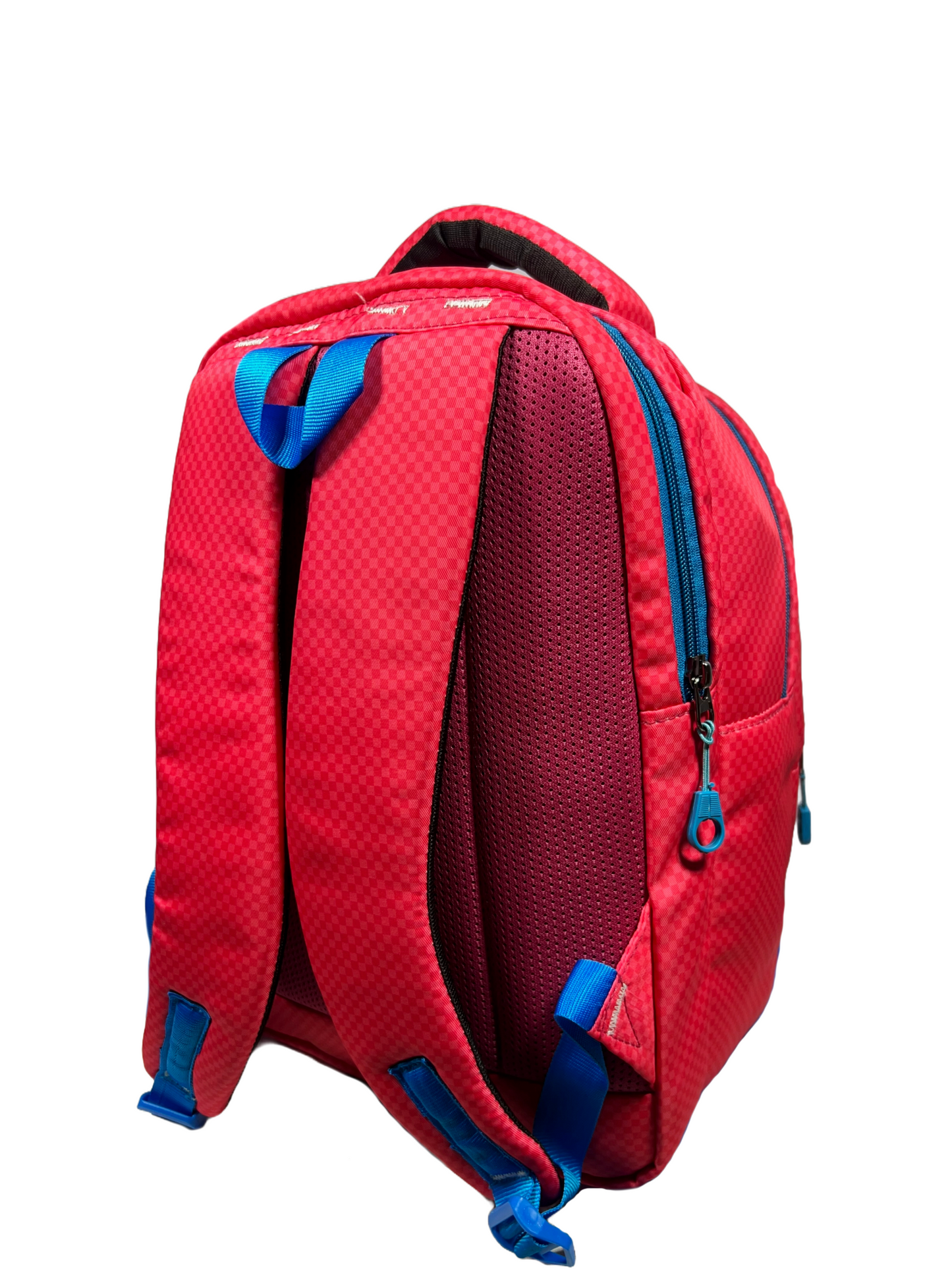 Addy, The 22L Backpack