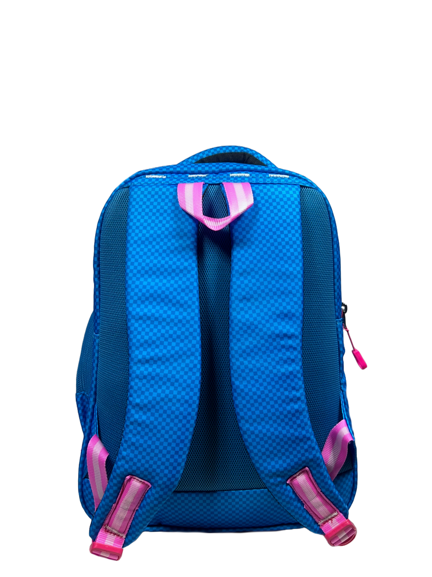 Addy, The 22L Backpack